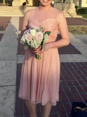 J.Crew Blush Pink Silk Chiffon Dress